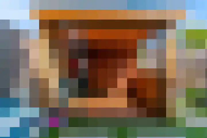 Meerkoet 14 Noorden thumbnail 30
