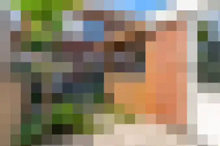 Meerkoet 14 Noorden thumbnail 31