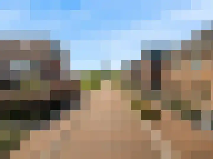 Meerkoet 14 Noorden thumbnail 32