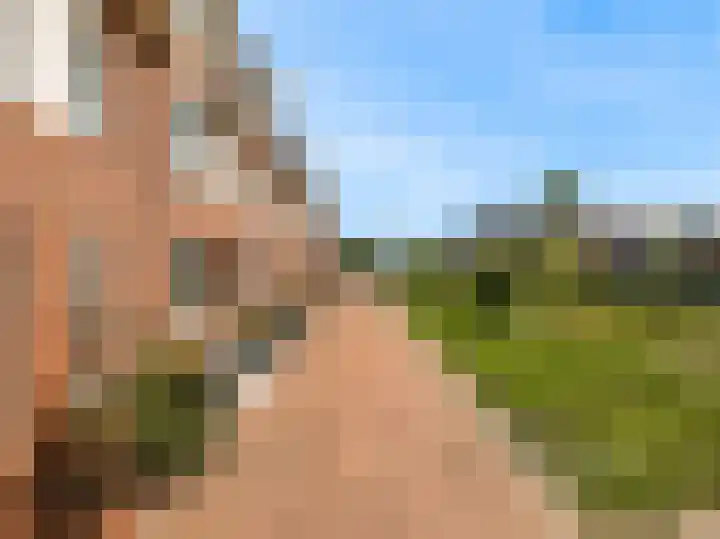 Meerkoet 14 Noorden thumbnail 35