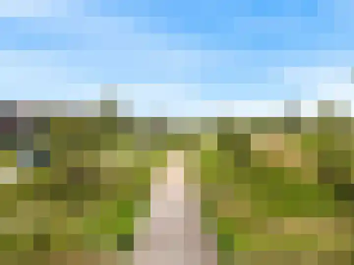 Meerkoet 14 Noorden thumbnail 36