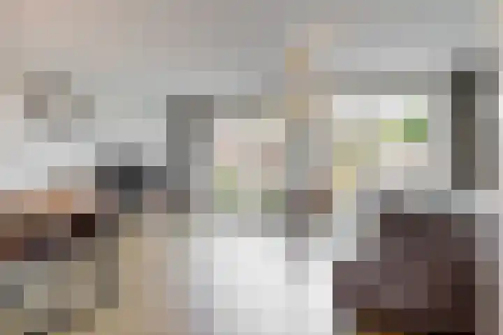 Meerkoet 14 Noorden thumbnail 4