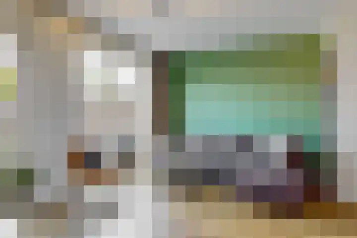 Meerkoet 14 Noorden thumbnail 5