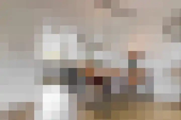 Meerkoet 14 Noorden thumbnail 7