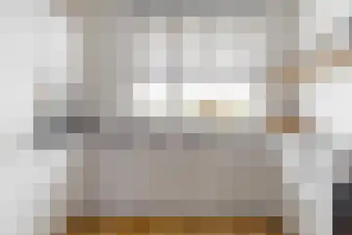 Meerkoet 14 Noorden thumbnail 9