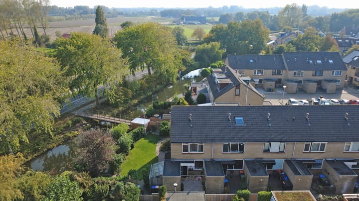 Meerkoet 15 dans Rockanje photo