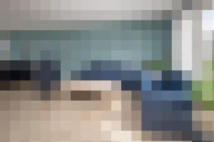 Meerkoet 15 Hoogkarspel thumbnail 10