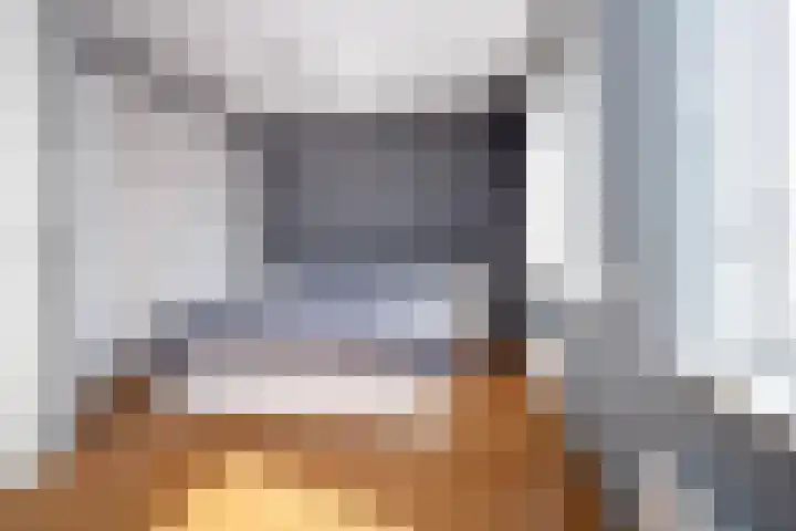 Meerkoet 15 Hoogkarspel thumbnail 14