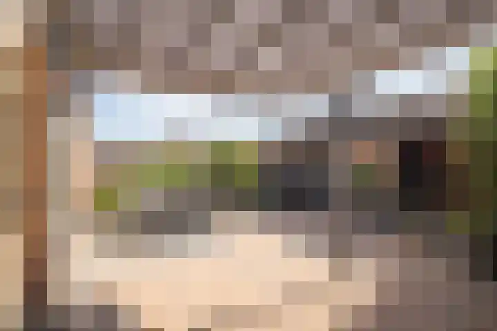 Meerkoet 15 Hoogkarspel thumbnail 28