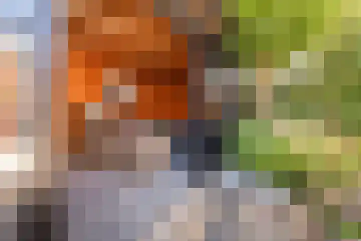 Meerkoet 15 Hoogkarspel thumbnail 30