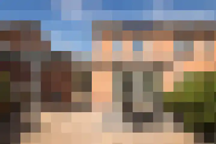 Meerkoet 15 Hoogkarspel thumbnail 32