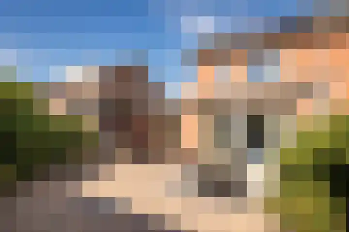 Meerkoet 15 Hoogkarspel thumbnail 33