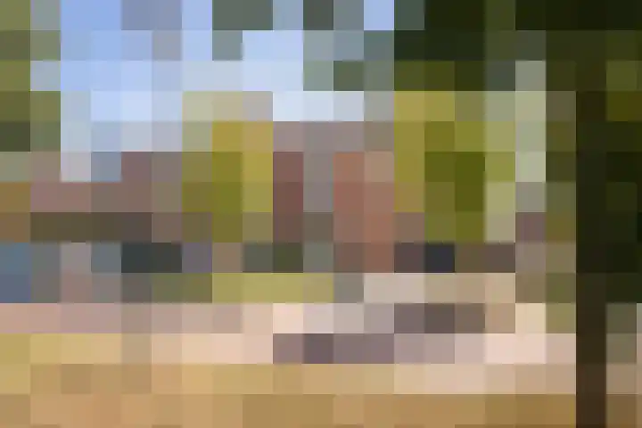 Meerkoet 15 Hoogkarspel thumbnail 34