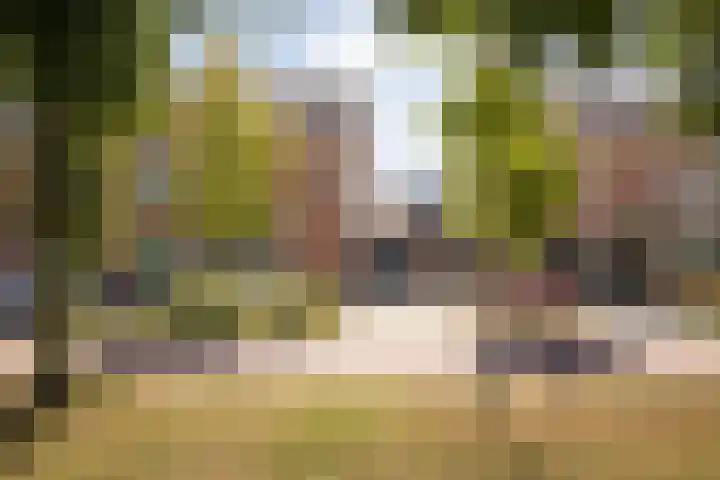 Meerkoet 15 Hoogkarspel thumbnail 35