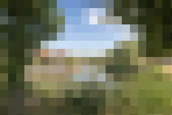 Meerkoet 15 Hoogkarspel thumbnail 37