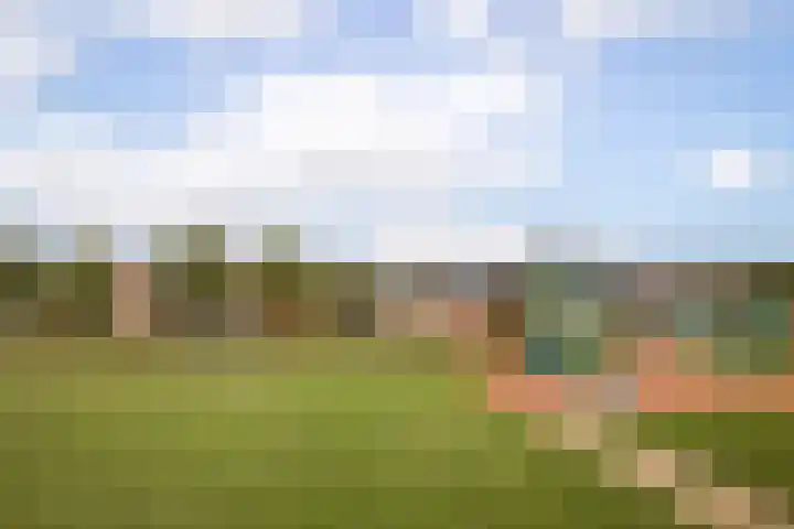 Meerkoet 15 Hoogkarspel thumbnail 39