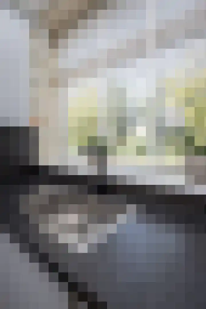 Meerkoet 15 Hoogkarspel thumbnail 48