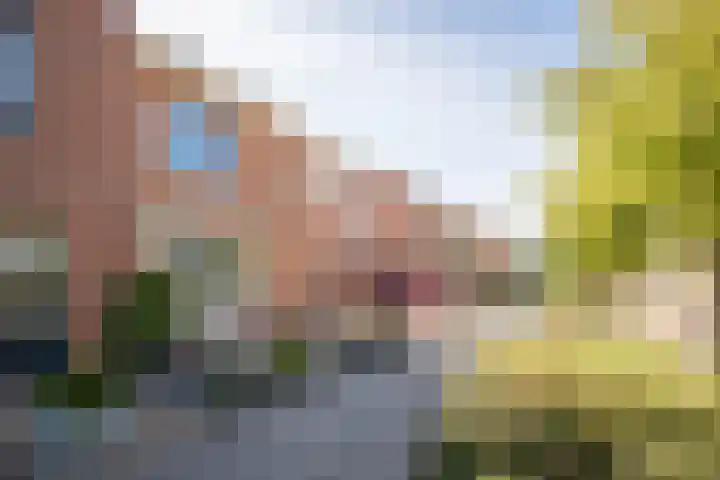 Meerkoet 15 Hoogkarspel thumbnail 5