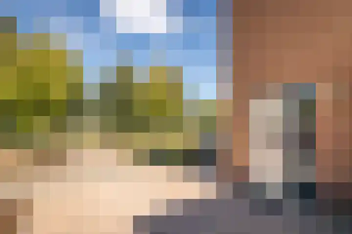 Meerkoet 15 Hoogkarspel thumbnail 6