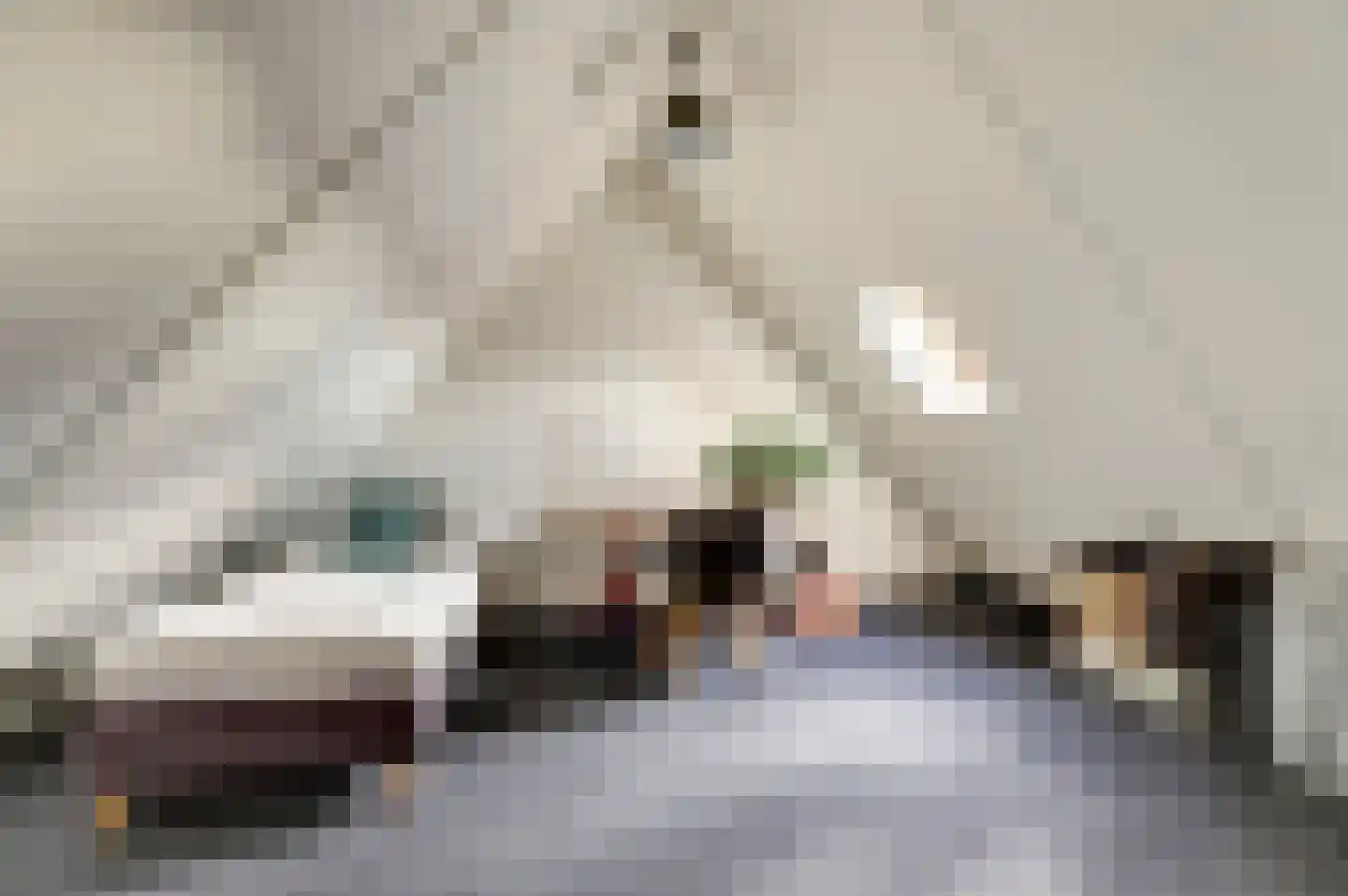 Meerkoet 15 Lemmer thumbnail 18