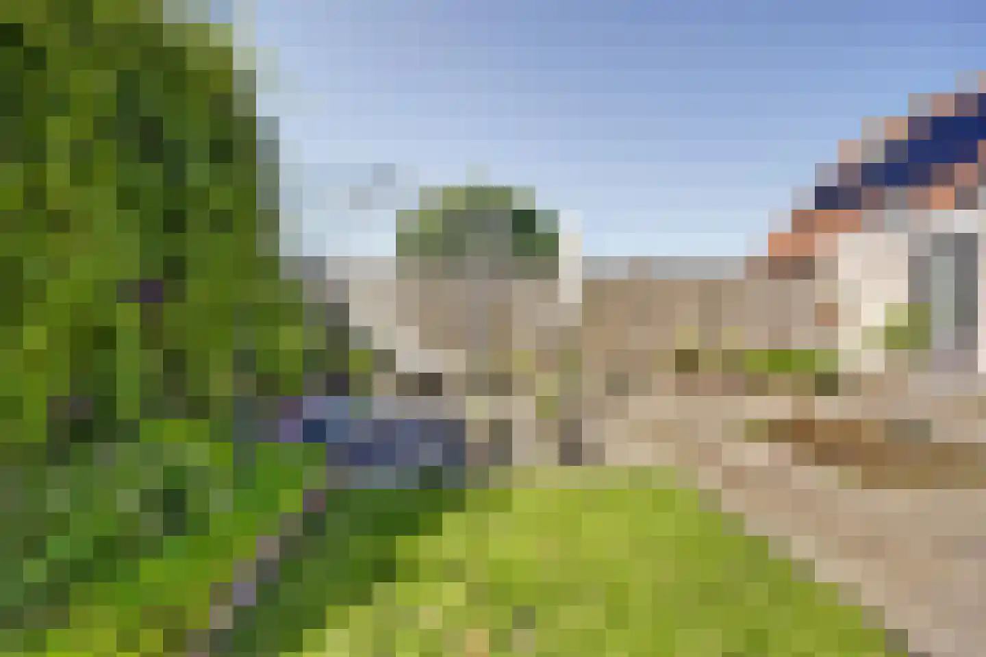 Meerkoet 15 Lemmer thumbnail 20