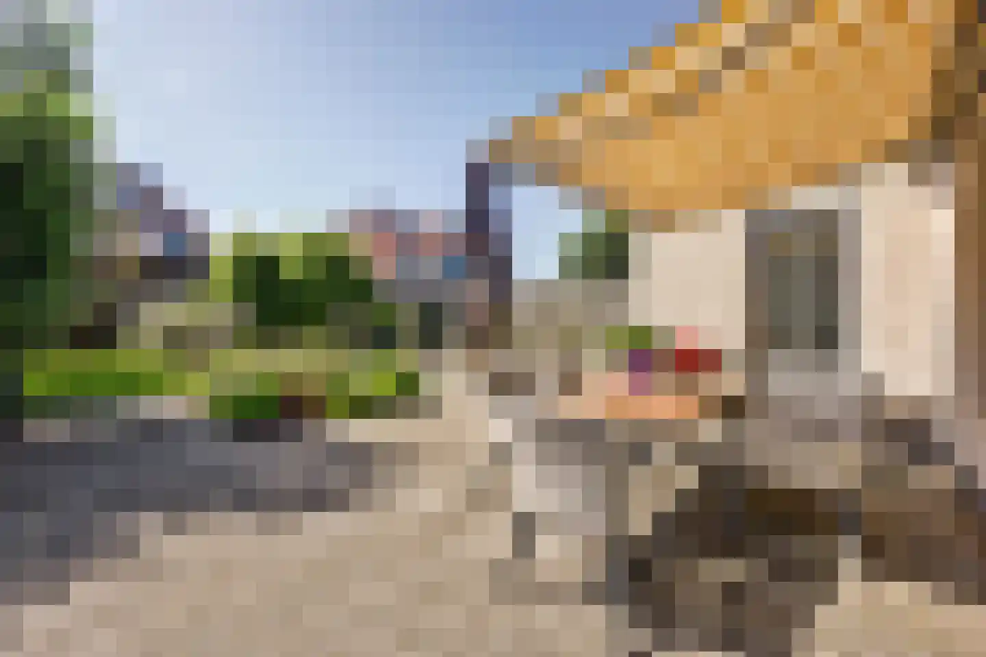Meerkoet 15 Lemmer thumbnail 21