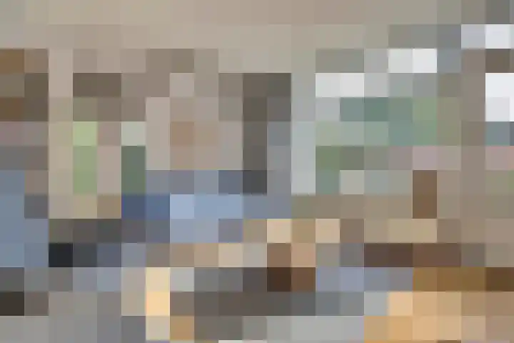 Meerkoet 15 Rockanje thumbnail 12
