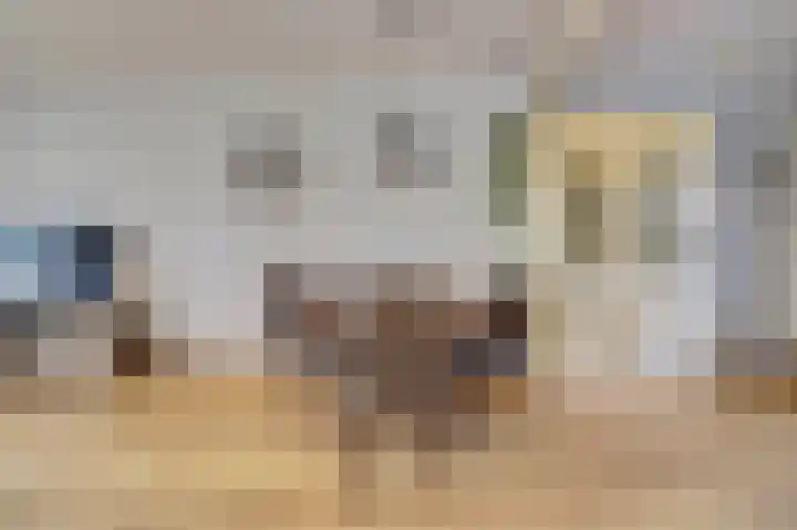 Meerkoet 15 Rockanje thumbnail 14
