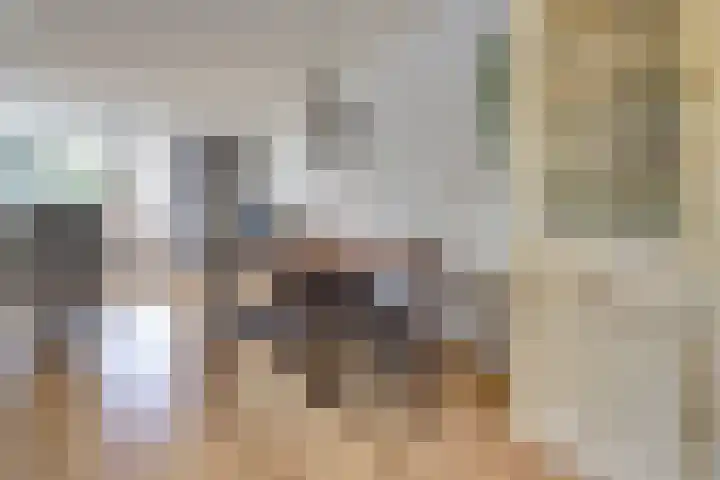 Meerkoet 15 Rockanje thumbnail 15
