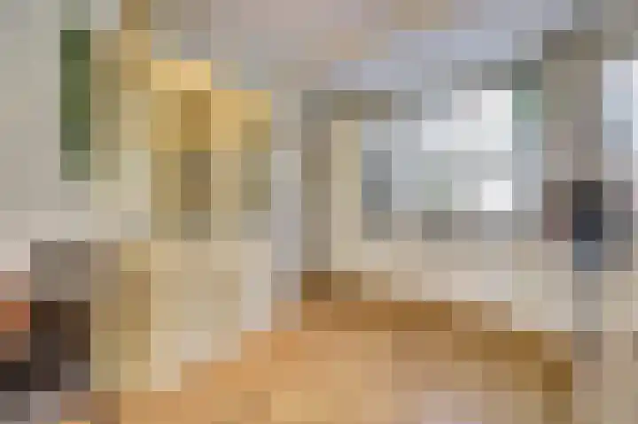 Meerkoet 15 Rockanje thumbnail 16