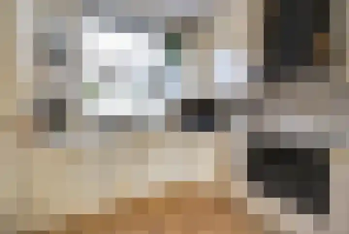 Meerkoet 15 Rockanje thumbnail 18