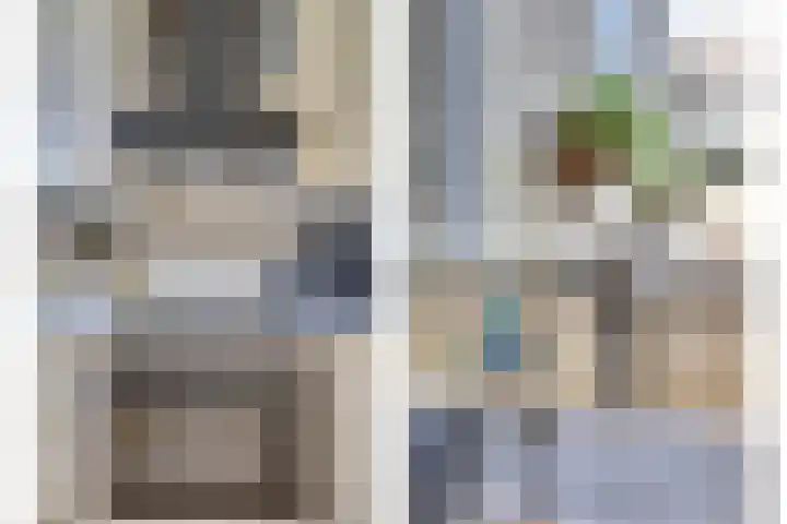 Meerkoet 15 Rockanje thumbnail 19