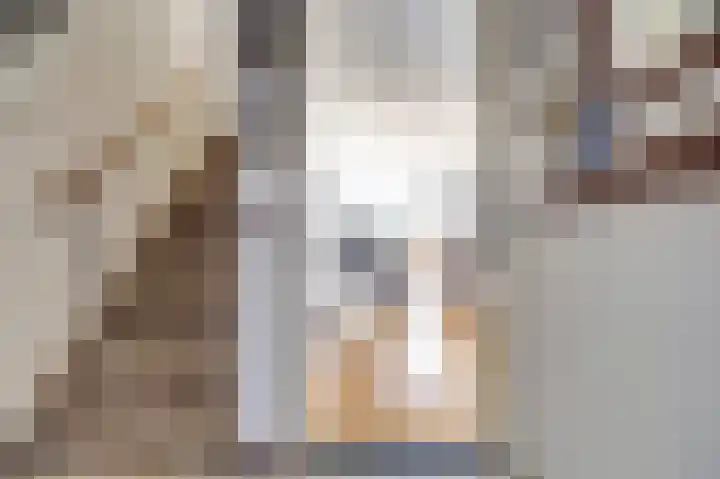 Meerkoet 15 Rockanje thumbnail 20