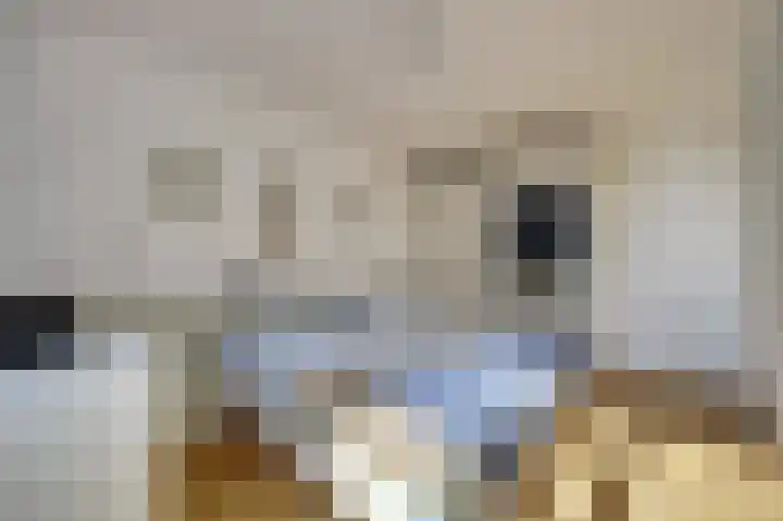 Meerkoet 15 Rockanje thumbnail 25