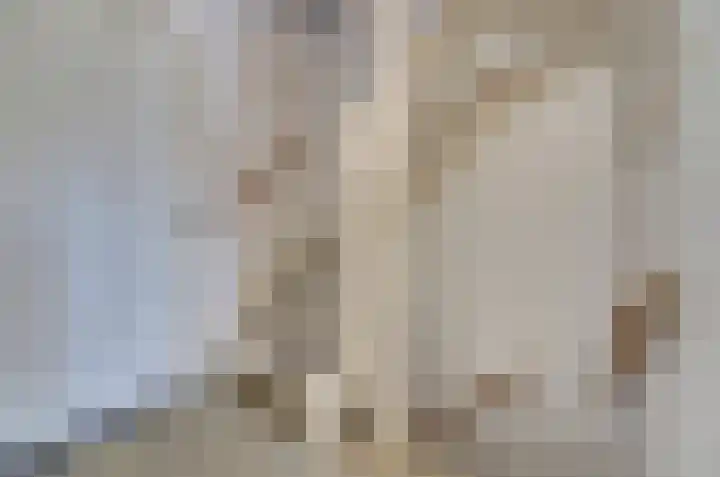 Meerkoet 15 Rockanje thumbnail 33