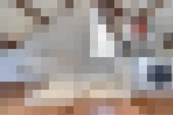 Meerkoet 15 Rockanje thumbnail 36