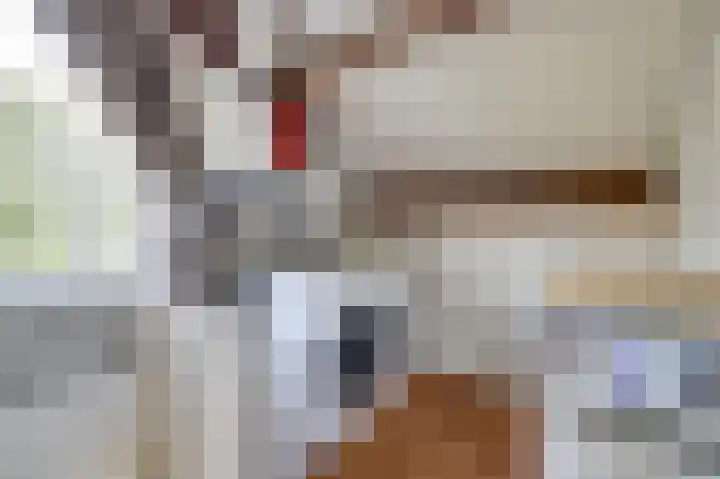 Meerkoet 15 Rockanje thumbnail 37