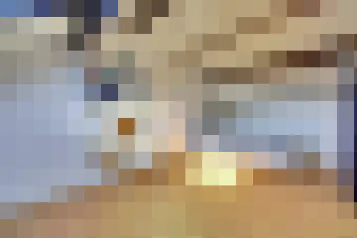 Meerkoet 15 Rockanje thumbnail 38