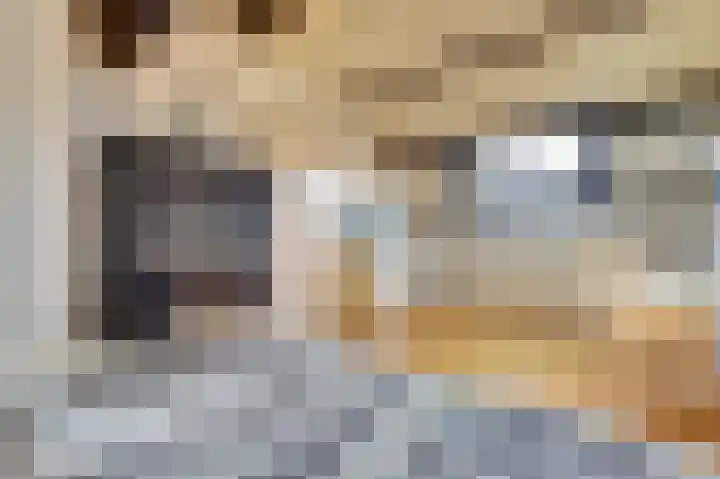 Meerkoet 15 Rockanje thumbnail 39