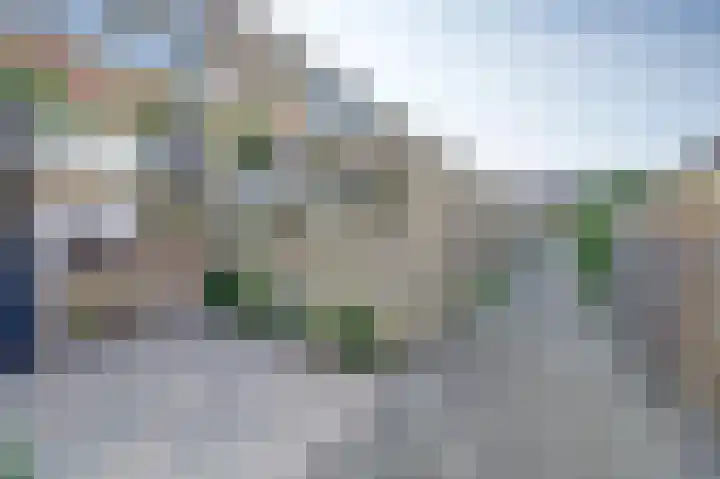 Meerkoet 15 Rockanje thumbnail 40