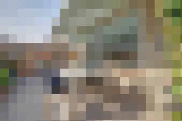 Meerkoet 15 Rockanje thumbnail 43