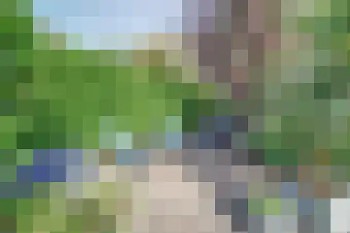 Meerkoet 15 Rockanje thumbnail 46