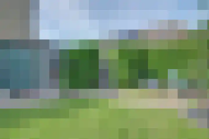 Meerkoet 15 Rockanje thumbnail 47