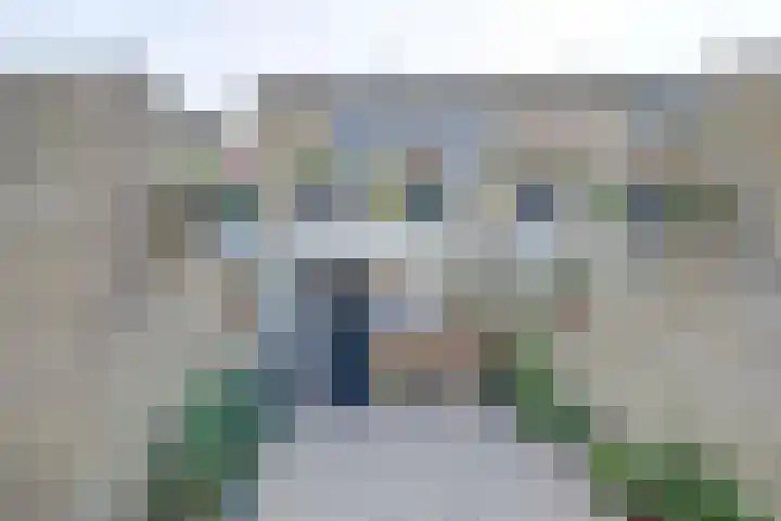 Meerkoet 15 Rockanje thumbnail 6