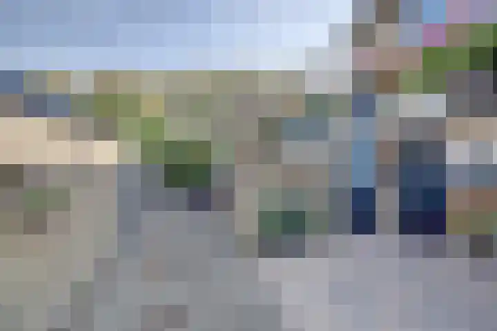Meerkoet 15 Rockanje thumbnail 7