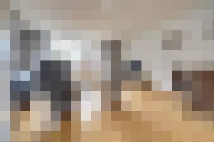 Meerkoet 15 Rockanje thumbnail 9