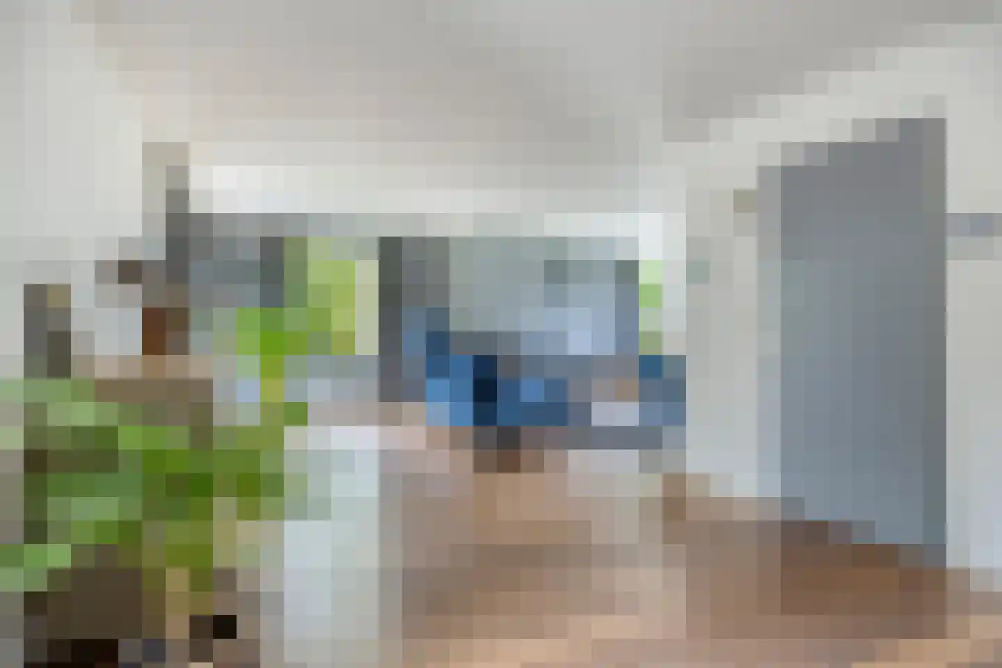 Meerkoet 152 Harmelen thumbnail 13