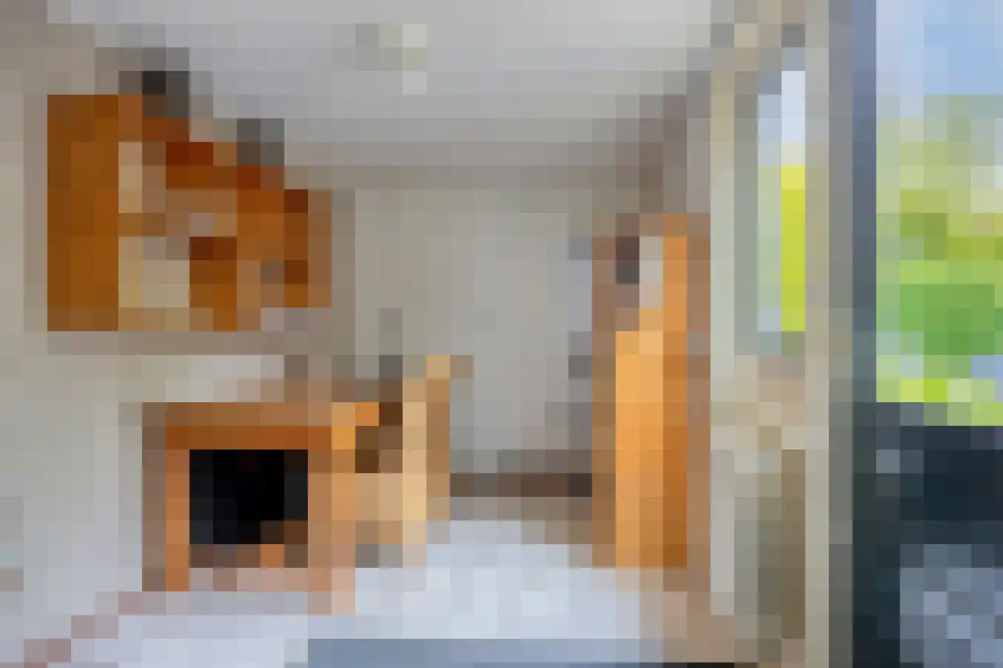 Meerkoet 152 Harmelen thumbnail 15