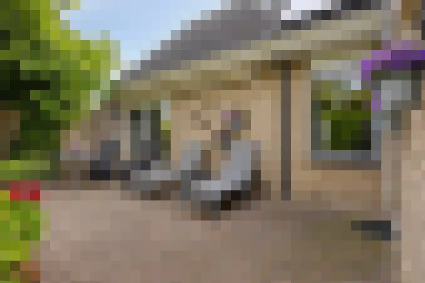 Meerkoet 152 Harmelen thumbnail 28
