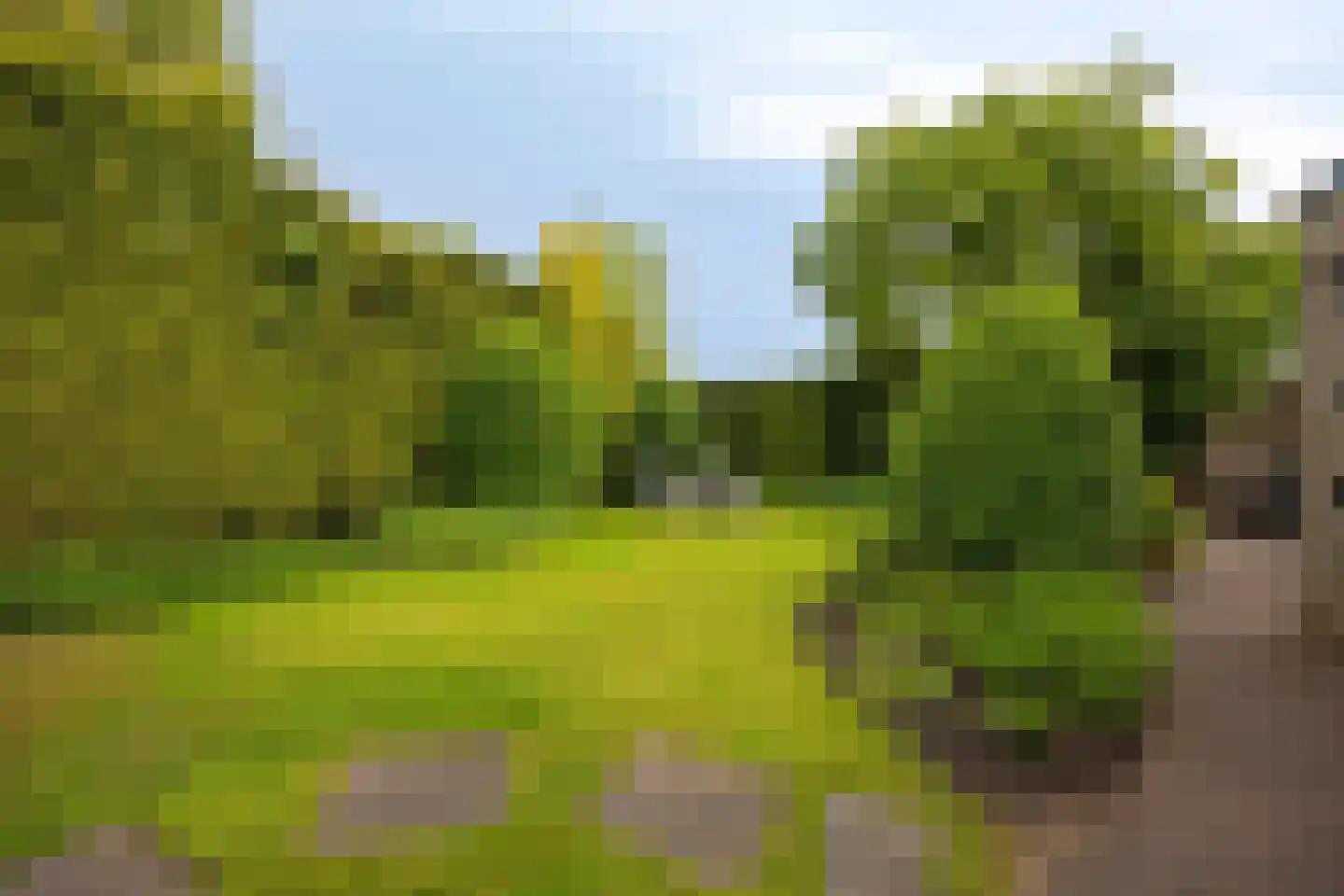 Meerkoet 152 Harmelen thumbnail 29